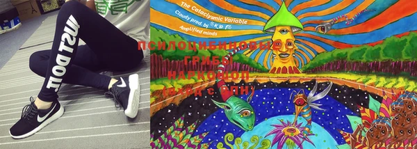 марки lsd Белокуриха