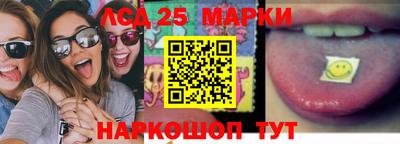 гидропоника Гатчина