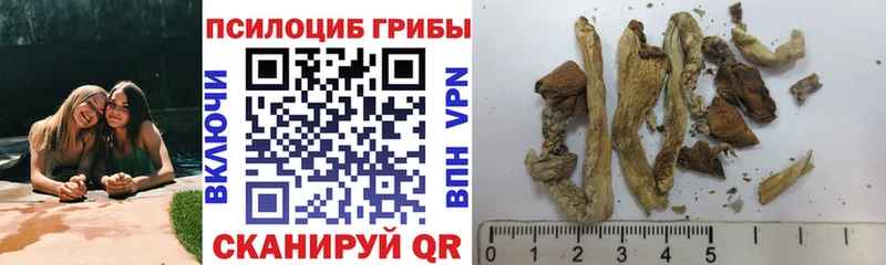 Галлюциногенные грибы прущие грибы  цены наркотик  Дятьково 
