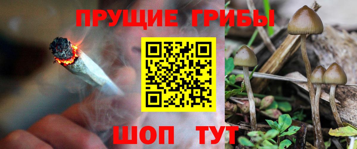 Галлюциногенные грибы мухоморы  Галлюциногенные грибы Psilocybine cubensis  Дятьково 